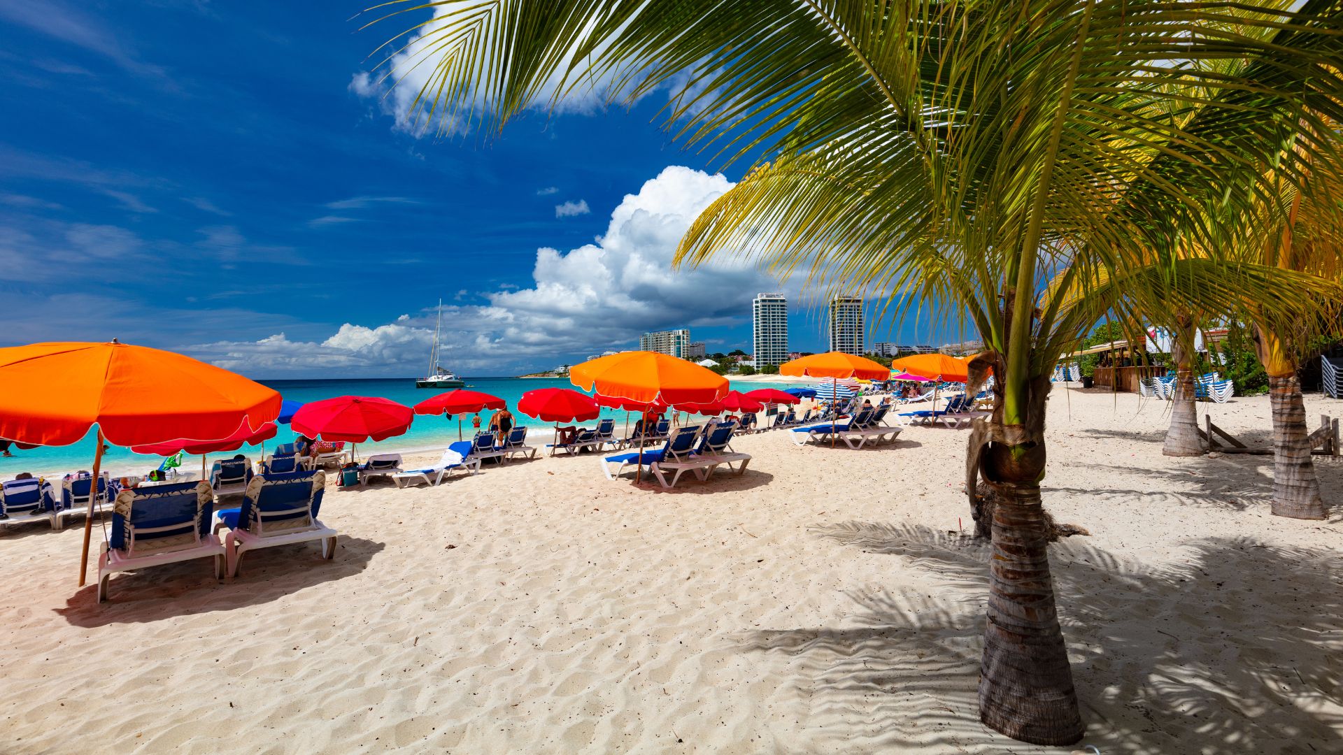 Mullet Bay Beach with umbrellas and palm trees viewed from a lookout point in St. Maarten.